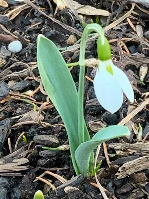 March is awakening, shrugging off winter