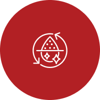 Detox & Cleanse Program